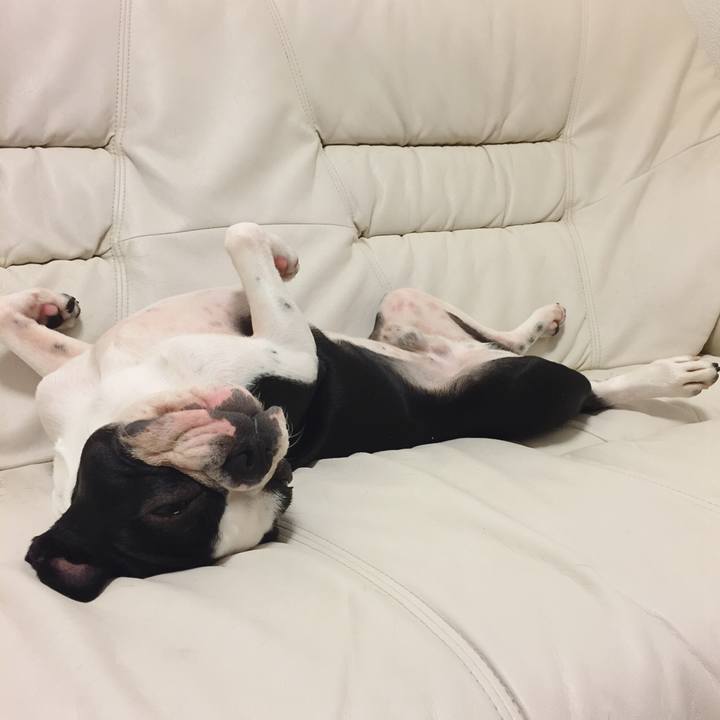 01146c2b 4dab 4512 b545 6ad3c07e529e