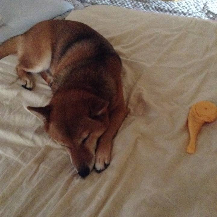 011494a3 cf6b 4c97 abb4 1aaf15c92b8b