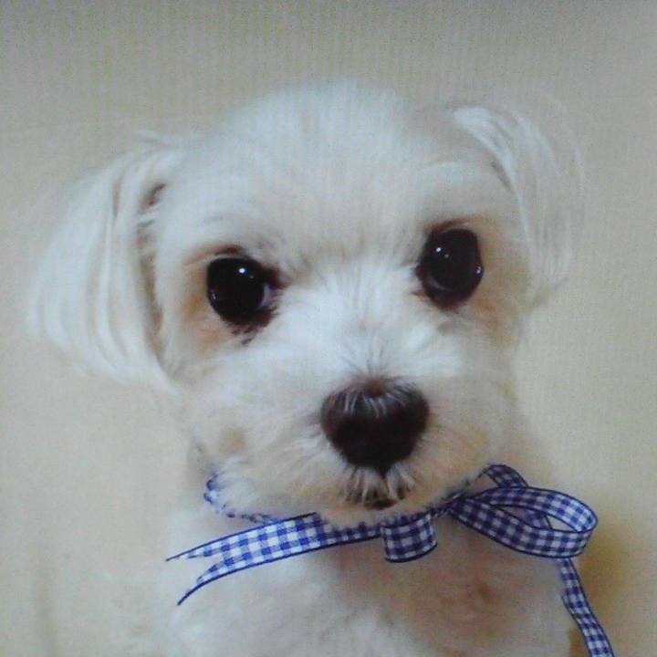 01151f1a 50a7 4604 9ba7 7782c0496920