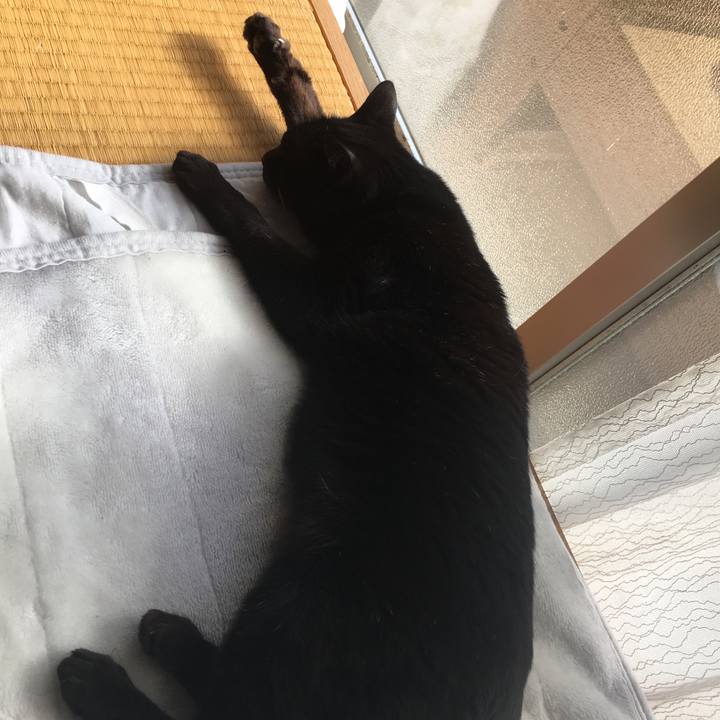 01152662 2058 4588 ae39 aa3888a9a202