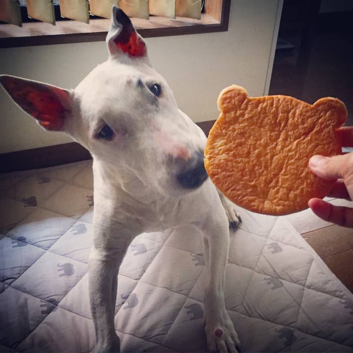 0115330b c7be 4c4f 859d 645851b4ecfe