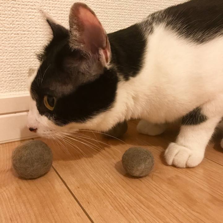 011628da e353 41aa a8e6 d568d003758a