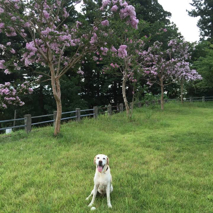 01166286 0134 402b bcbe 42dc5503cc3e