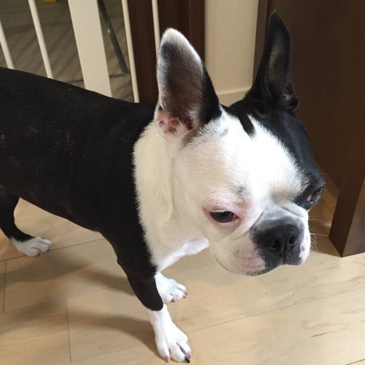 01167926 fe7f 408c bc3f f18f8dd735cd