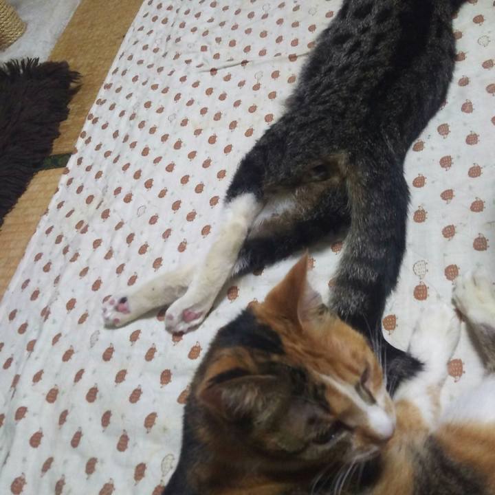 01168686 45f5 402e b964 68f8f7086222