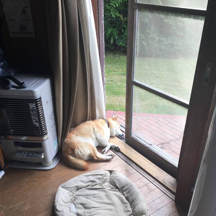 0116d337 3f98 4530 b0b8 c47dd159641f