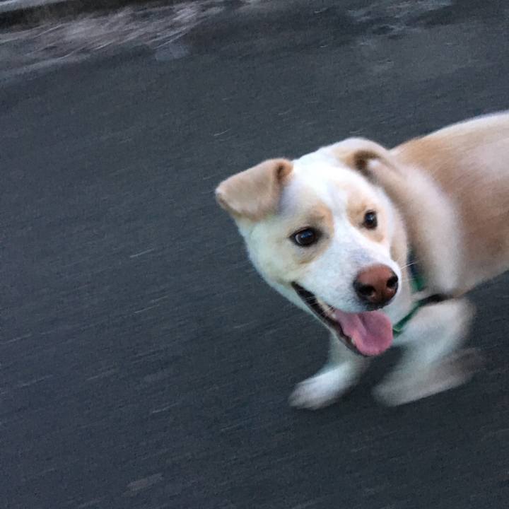 0116f141 8d96 4314 8f9a 18c9912b69d0