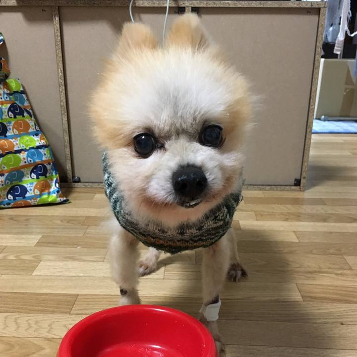 011742f0 0953 4bd3 b5d9 c8fad4304283