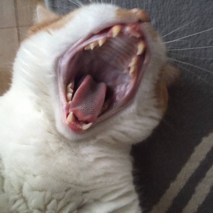 01176e42 7de6 4448 b40f 5e5c20ca869c