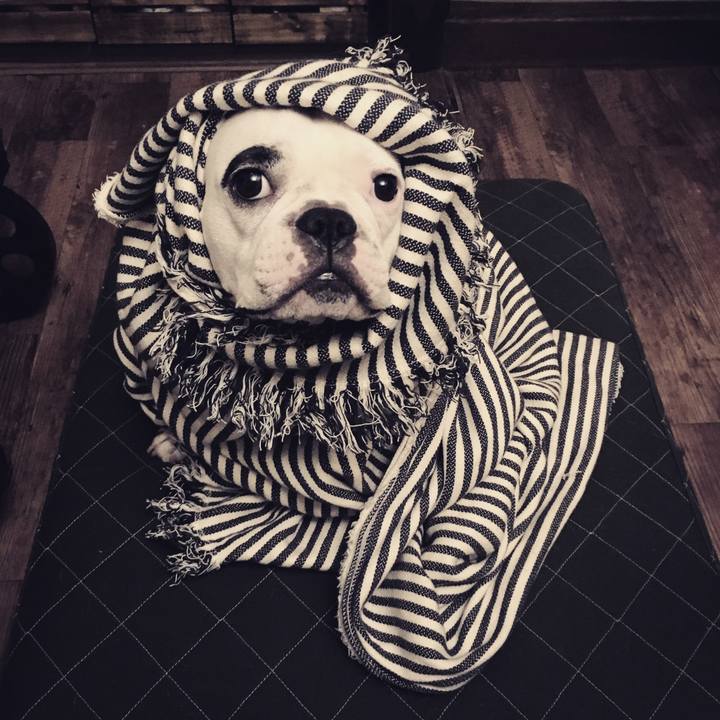 0117a34f 9a19 491c ad9b cba12c1b6b4f