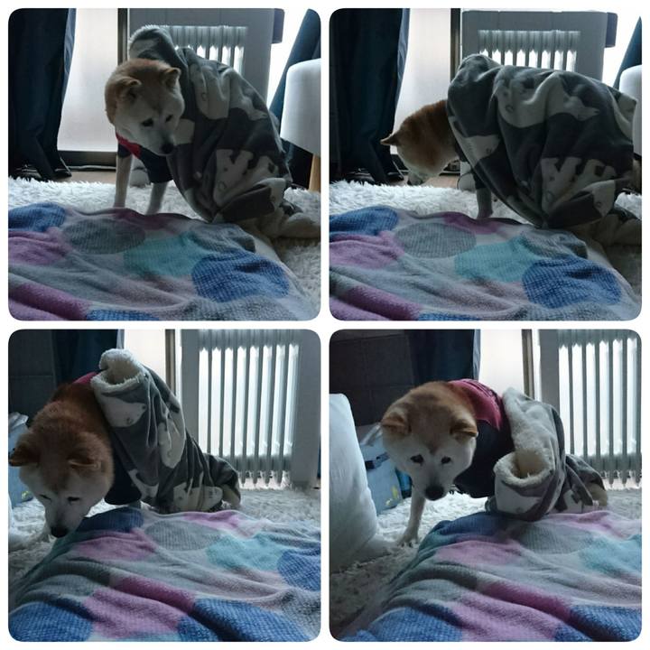 0118d144 af34 47fb 90f6 e9929ca4f799