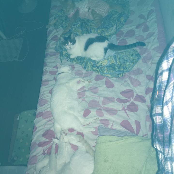 01191178 9404 4215 84f3 e29fed0ad405