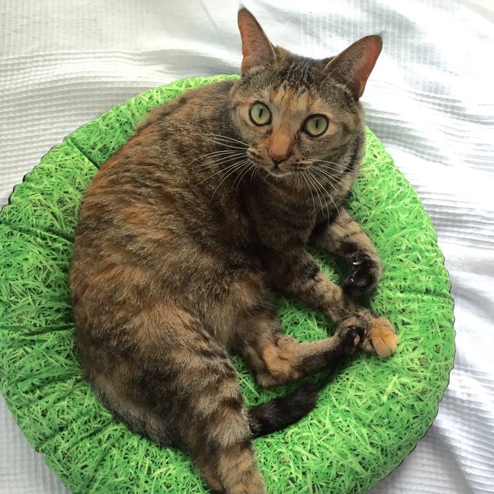 01193be6 4be2 4f77 ae2a adea56c8c158