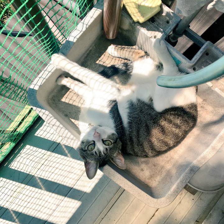 01194e2c 0167 4d08 8086 5a96b32aab5d