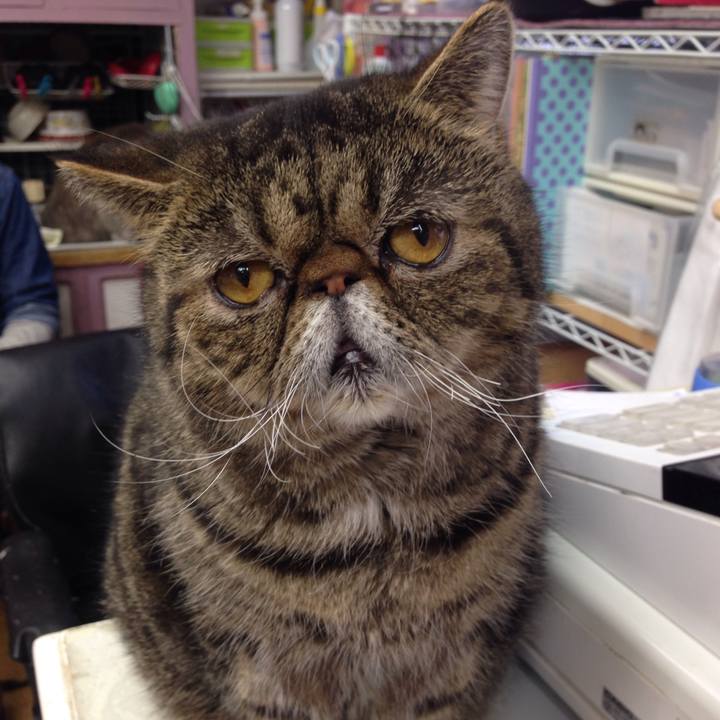 0119c02b fc25 4284 bdb2 782de10aa37c