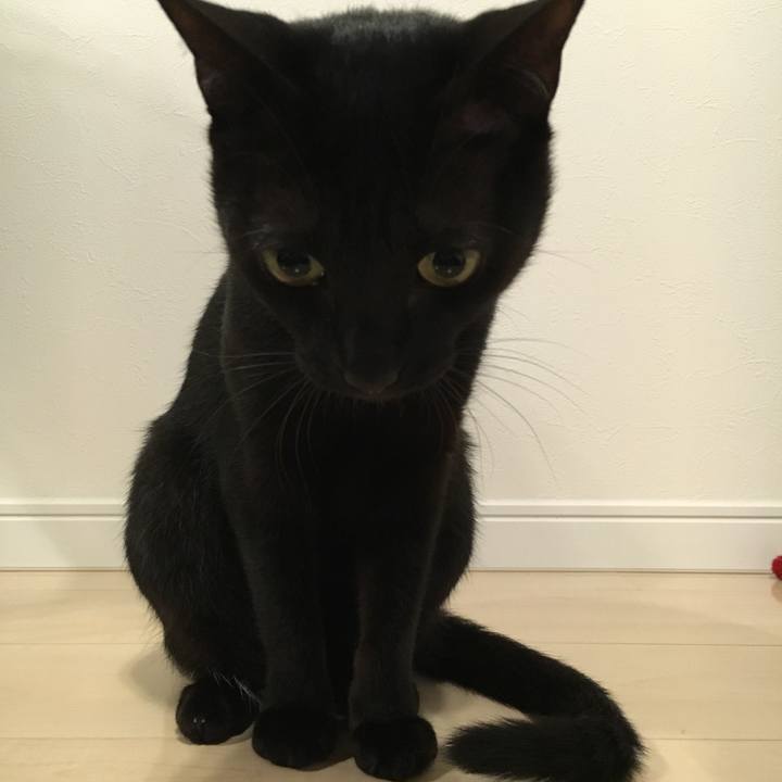 011a3fd1 573c 4f2b a4c3 2090e341e5d1