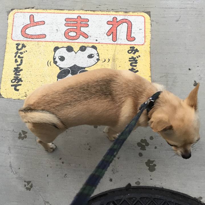 011af6b5 8bed 4255 98f5 69b369c78a65