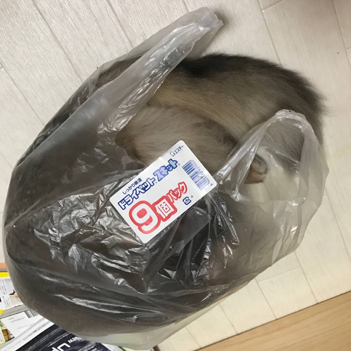 011b2c37 a8eb 4c7d baae 2b0c786b2a23