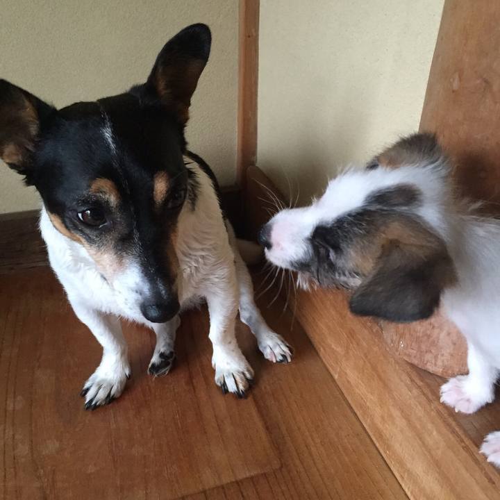 011b86ca 4a50 47d4 b7ef 6213113d9c30