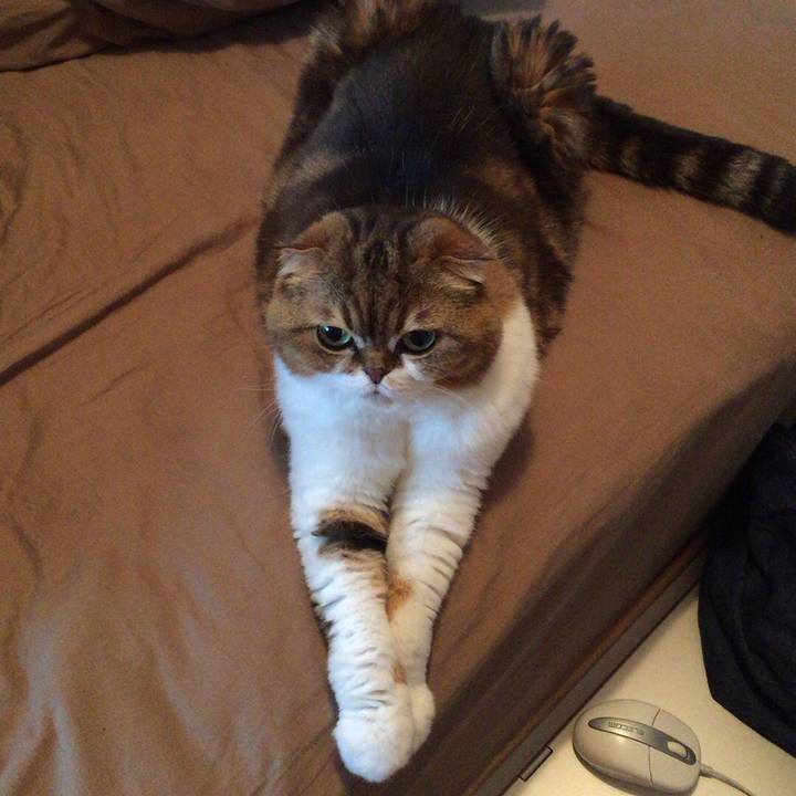 011be35d fa41 4670 9cd9 1ce187828ca7