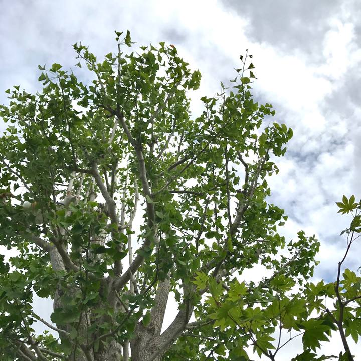 011bf47f 6998 4278 a2ed 714d69f3f004