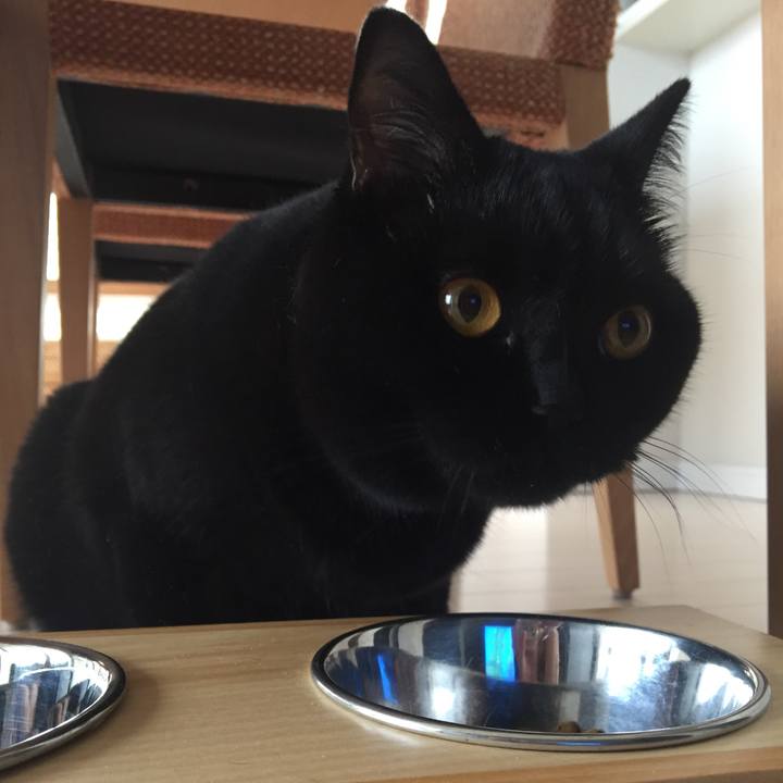 011cf313 5335 4c52 8f00 2616269e9a1d