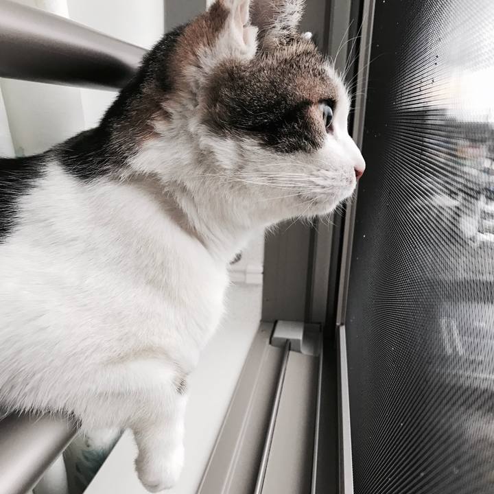 011d0ad7 9cd0 4e61 8460 4f97baea1756