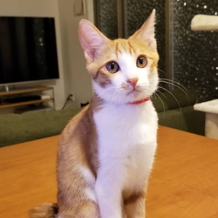 011d3b1c 5a85 42d9 be70 8e309e8568d8