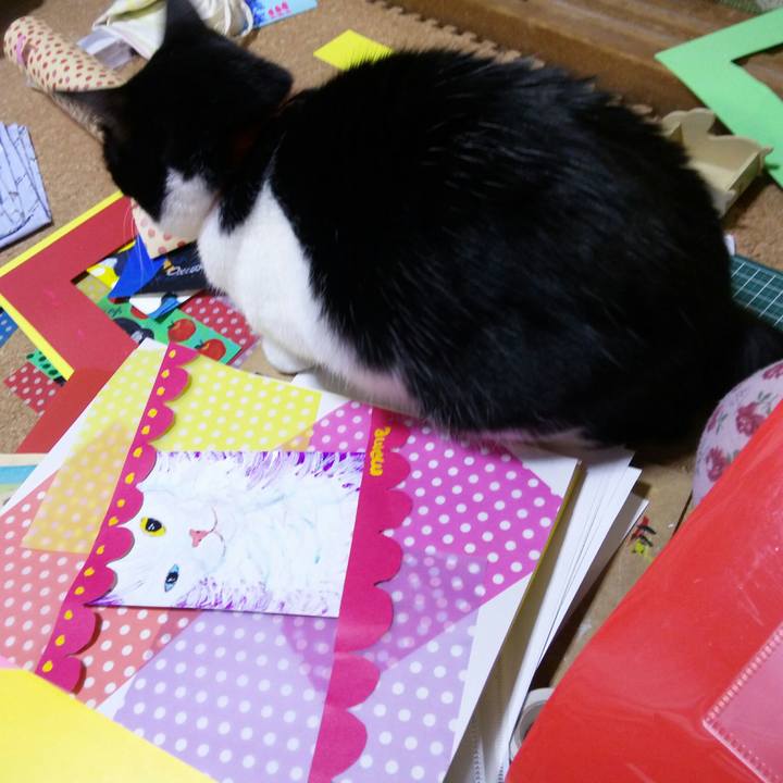 011da157 699a 4fd4 88f8 a69b3e43c674