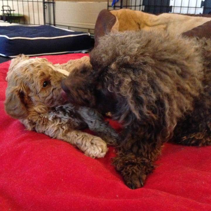 011da936 cf41 464c baf9 53aba95e1d2f