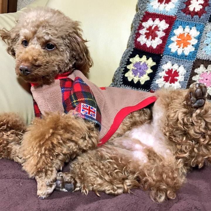 011e9ee5 11bd 4c07 944d bfae4e981311