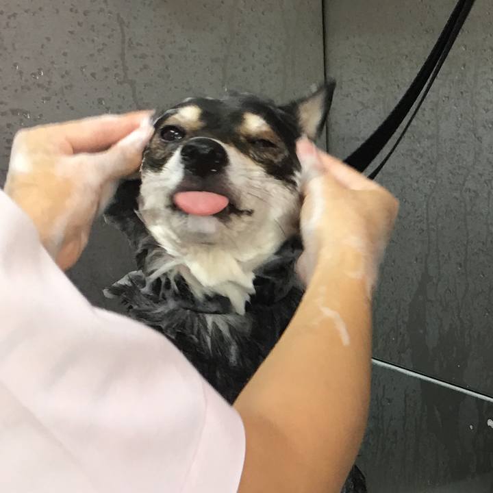 011f8de0 eece 4236 a996 0303a02d1b36