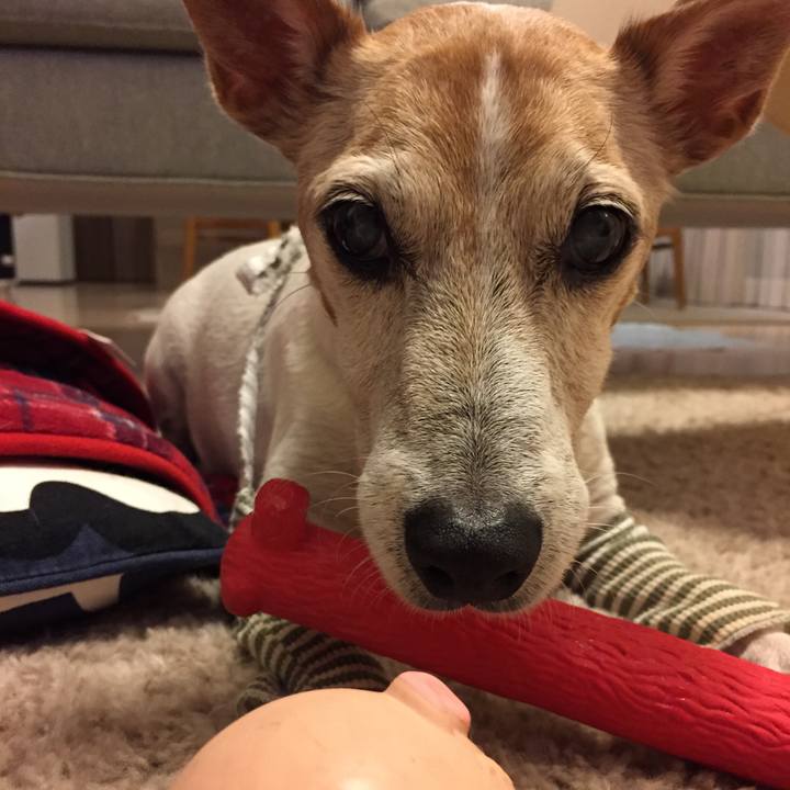 01203256 34d6 4b97 9994 1cd91b4ba953