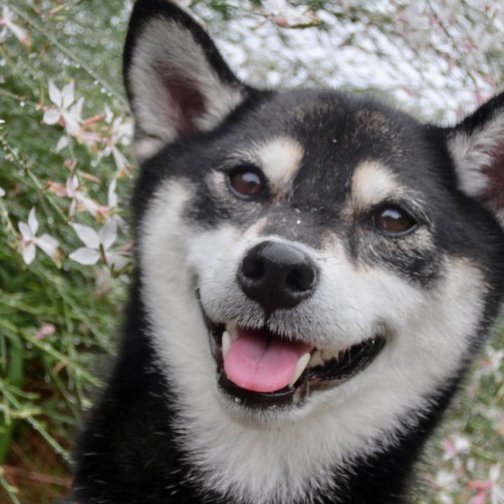 01203c28 e780 4727 a06f b88cf0381df6