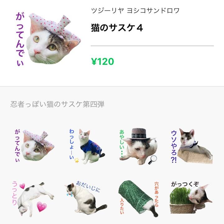 01209e02 11b2 4f7e 9a05 af4cf885e96d