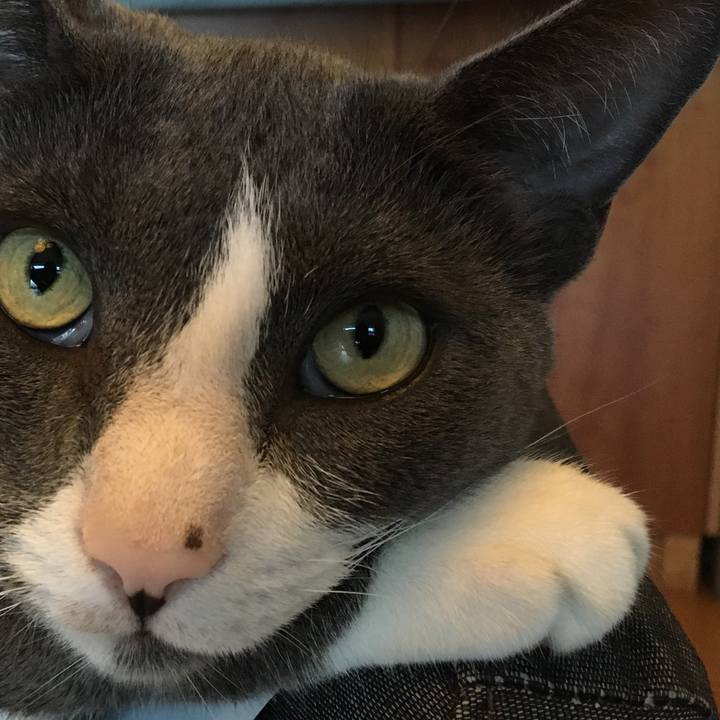 0120cc60 8616 4546 9b94 a79e5d817a66