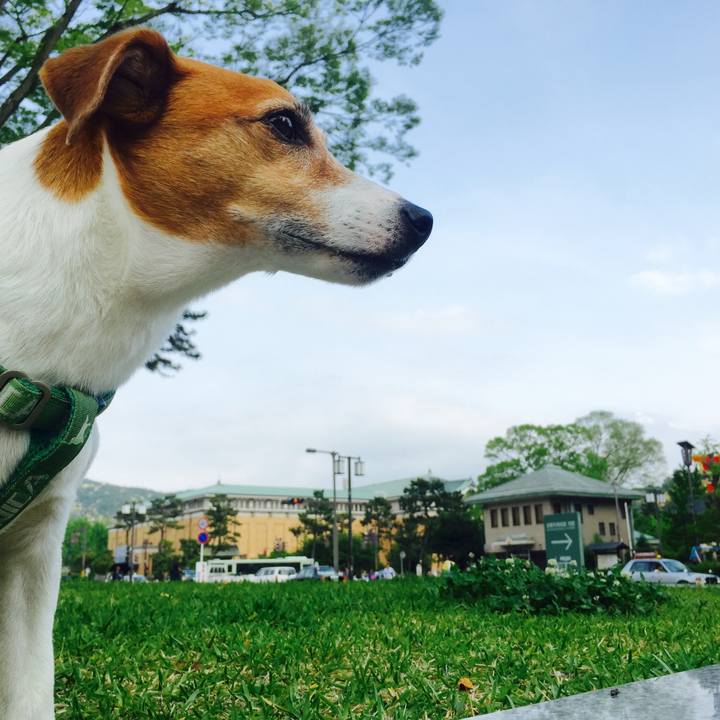 0120e4e1 470e 4659 be81 d0ad138ac209