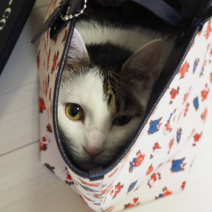 0120f184 a220 4d65 a002 d6883a4f9a61