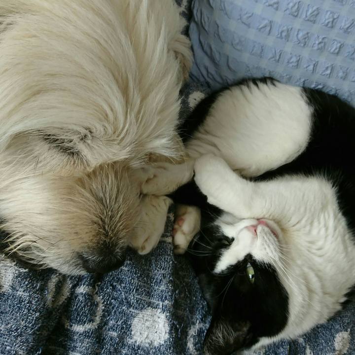 012153ac 75bc 4b62 a29e 55770cf2e46a