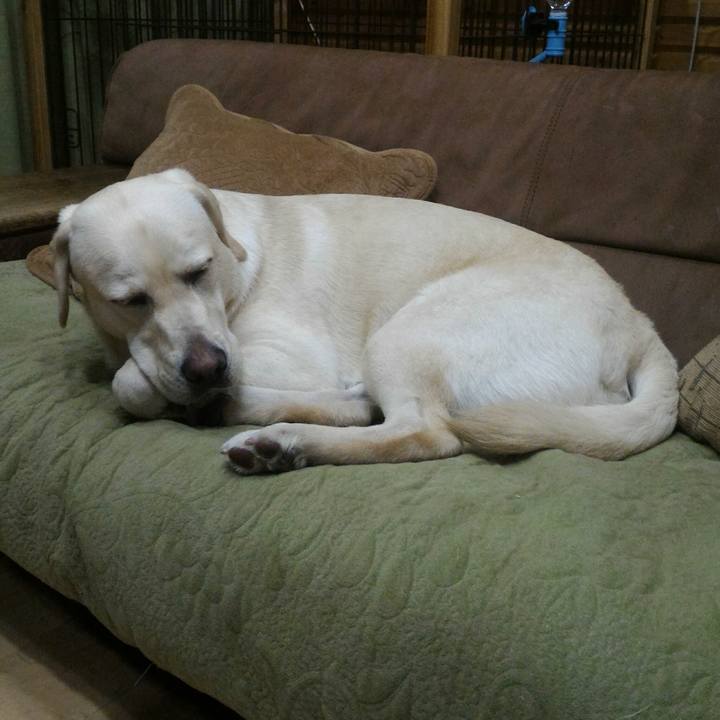 0121b39e 3dd6 4e56 8c1a 9d3082fdc429