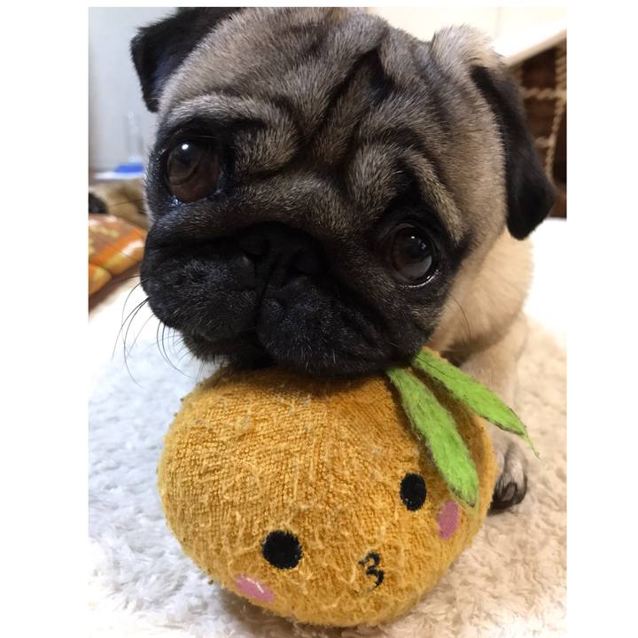 012207d9 9515 4cac 986a f3d4ba1ee920