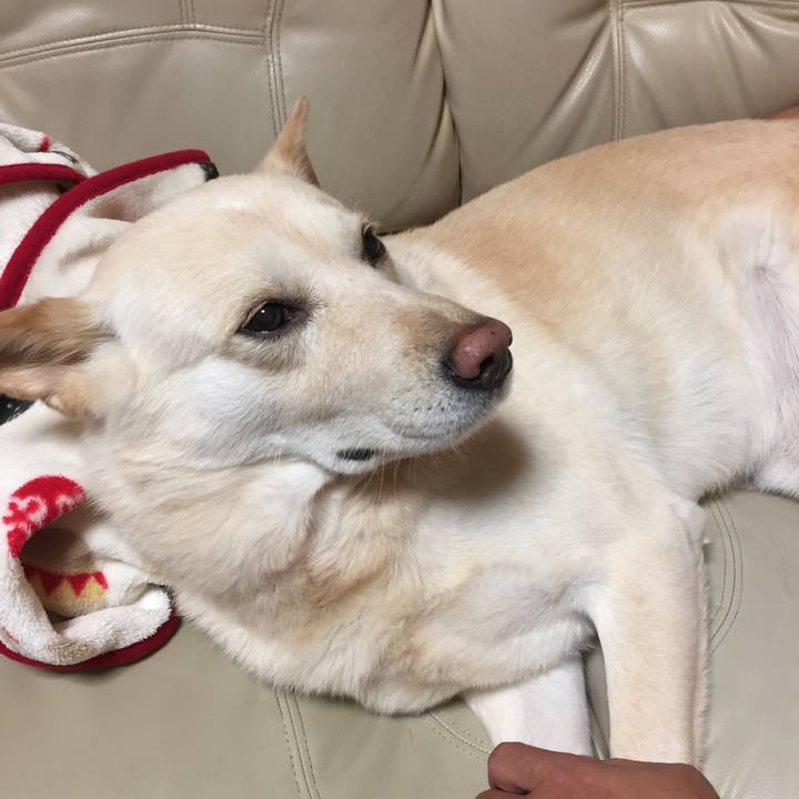 01222fe2 feb5 4873 8663 b1791057e544