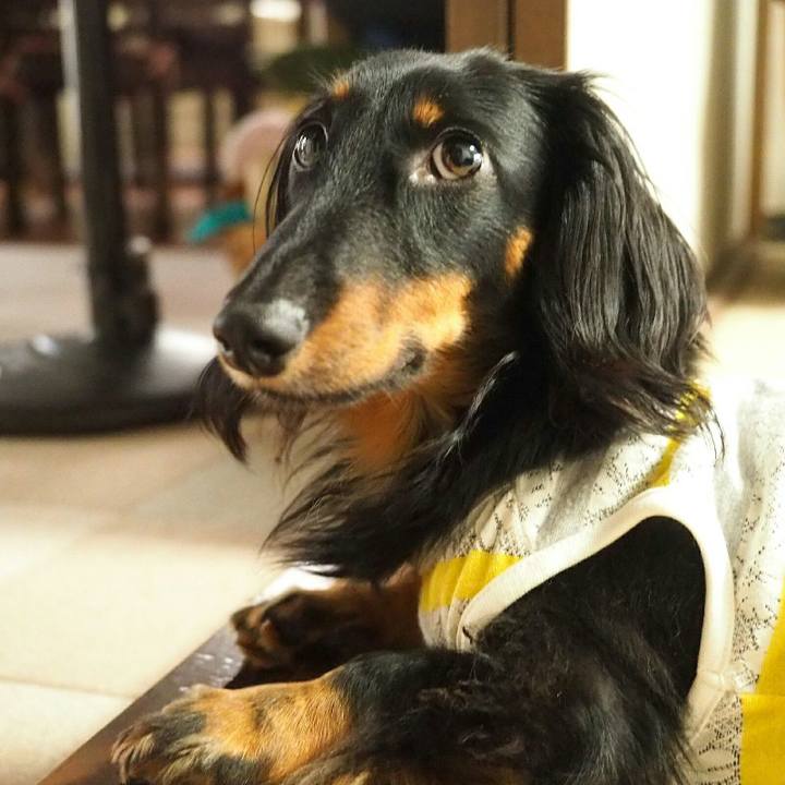 0122a6f7 5104 4ed9 bc51 13f5b3b9d61e