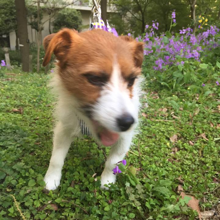 0122b1d7 1677 49de a490 fedf2304394f