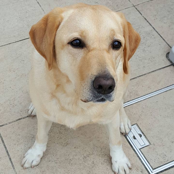 0123d295 a0d9 4ded 97f4 c5b8f6f0022b