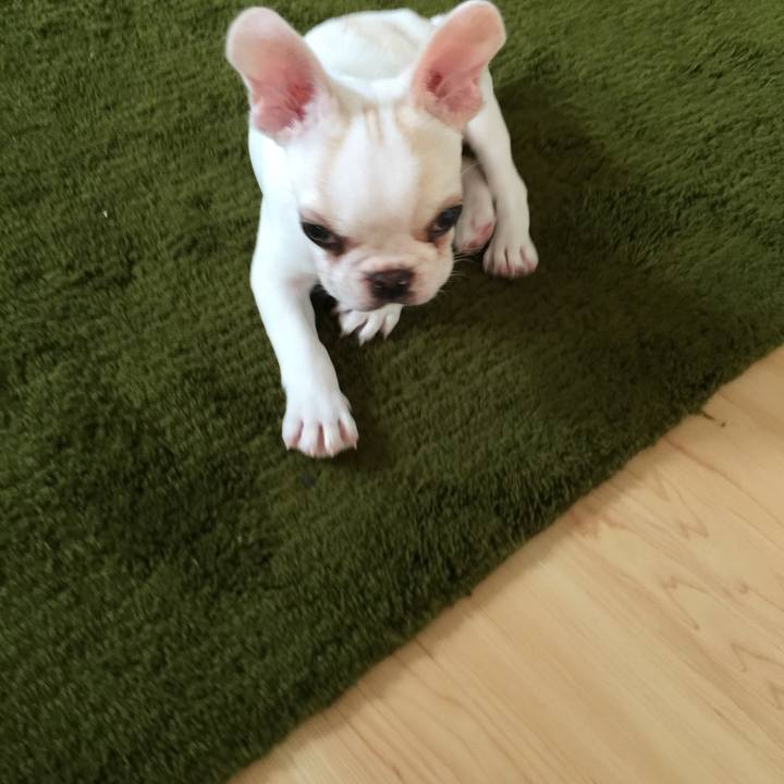 012416f7 8451 4e22 9adc 49aee473a09c