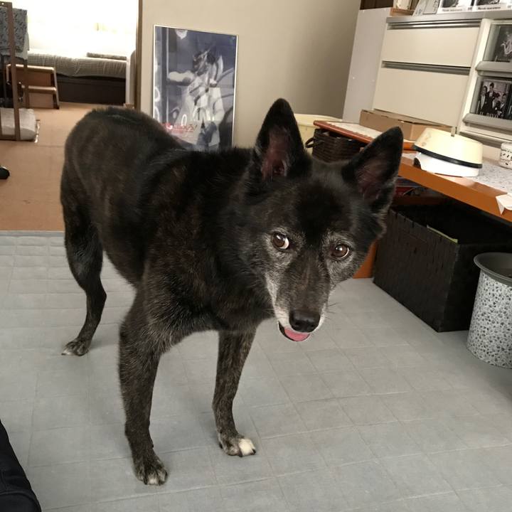 01243371 1649 4564 80f0 485144dfc432