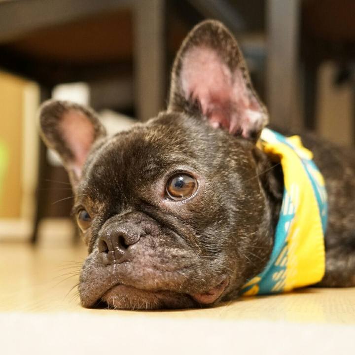 012592af 1695 40d3 bf95 57a0ac4efb7a