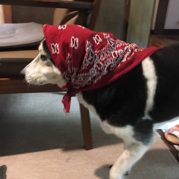 01259f42 20a2 4678 9892 306caa222629