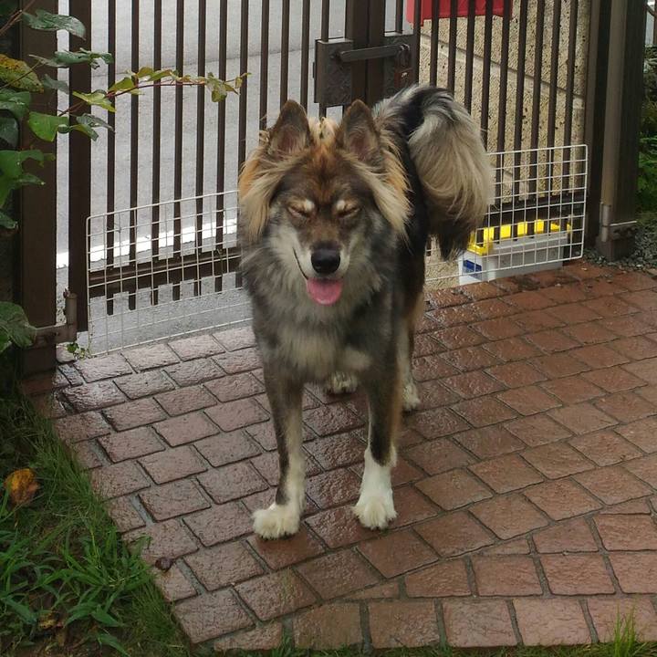 0126526f 043e 4c22 8226 e231cec943da